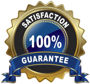 Satisfaction Guarantee 100